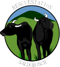 Logo Ark & Rescuestation Saldobosch